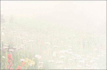 Soft, blurred background image of a wildflower field, complementing a heartfelt thank you message with natural serenity.