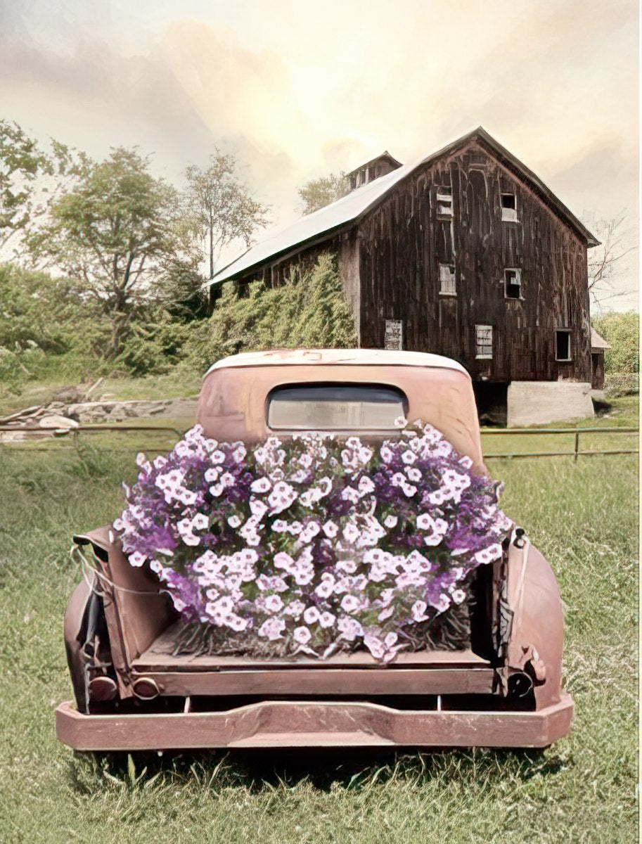 Pick-up truck filled with flowers