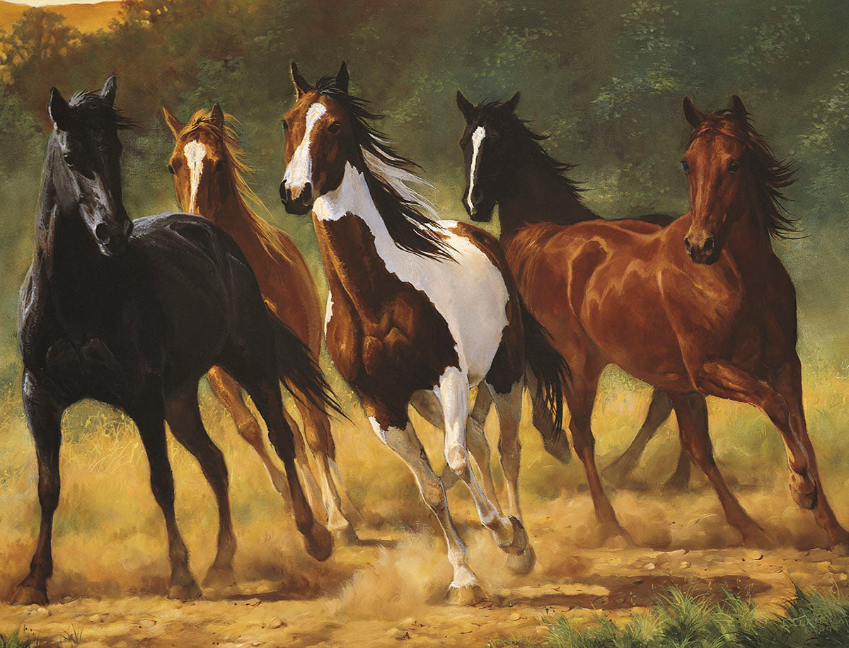 Majestic herd of wild horses galloping through a dusty field under a warm sky, featuring black, brown, and pinto horses, perfect for inspiring greeting cards.