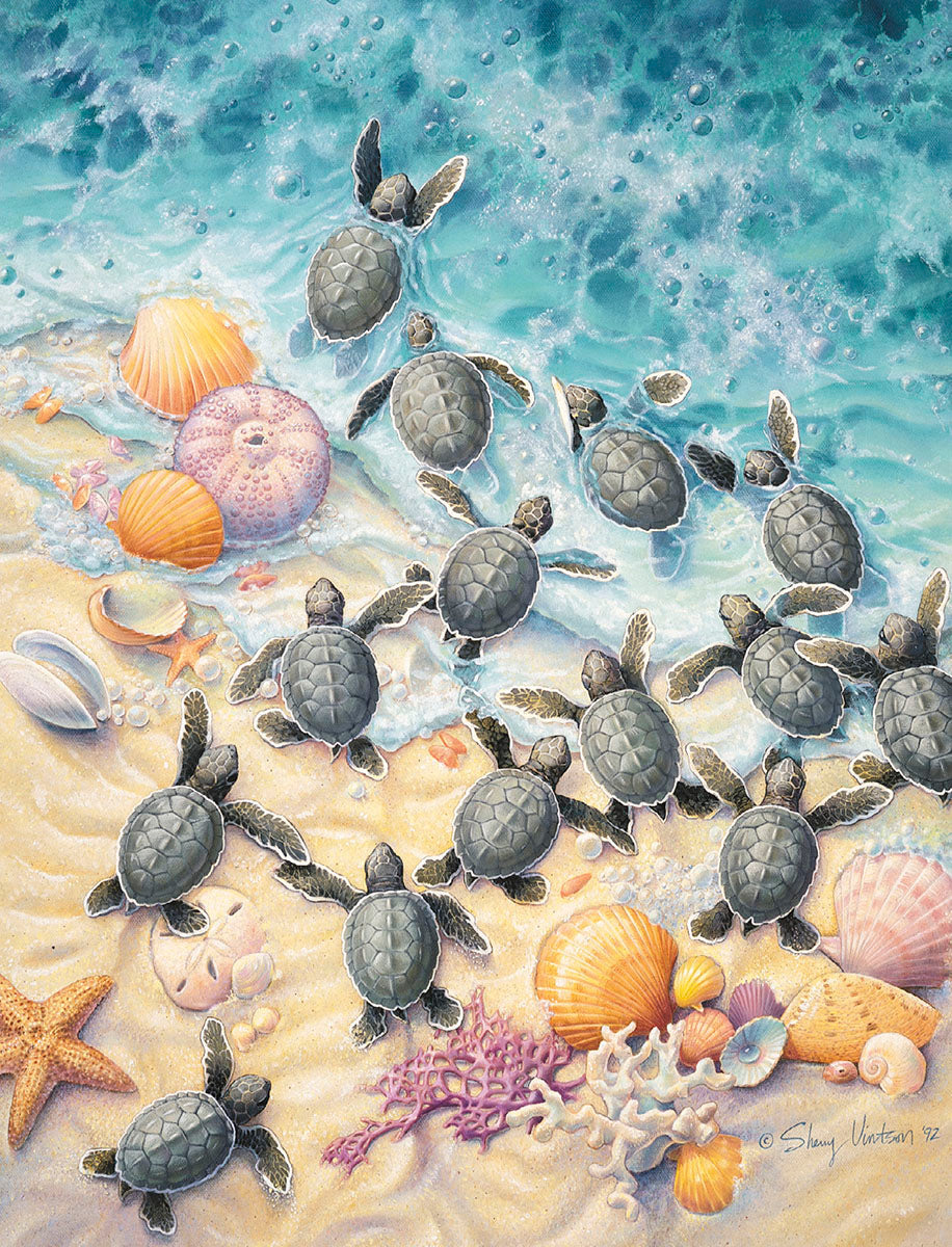 A group of adorable baby sea turtles crawling from a sandy beach towards the blue ocean waves, surrounded by colorful seashells and starfish. The water is clear, showing ripples as some turtles enter it.