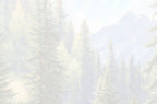 Faded, serene mountain forest background art with towering pine trees and misty peaks, evoking tranquility.