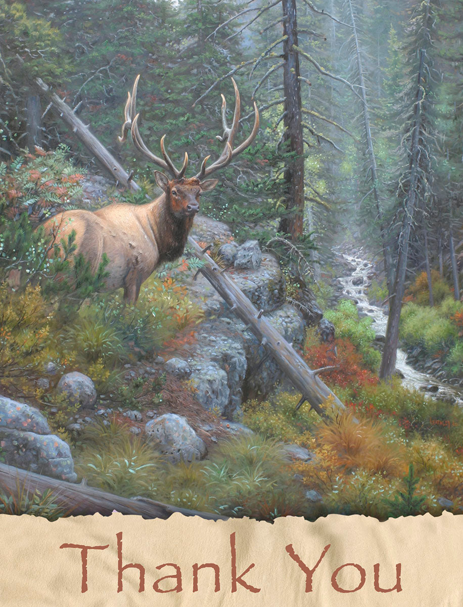 Stunning nature-themed thank you card featuring a majestic bull elk with large antlers standing amongst pine trees and rocks next to a mountain stream, with 'Thank You' elegantly printed below.