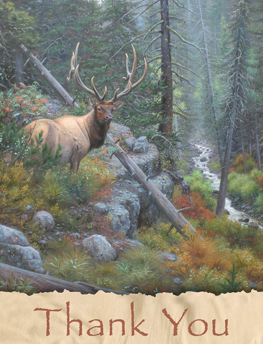 Elk in Forest Thank You Note Card Set