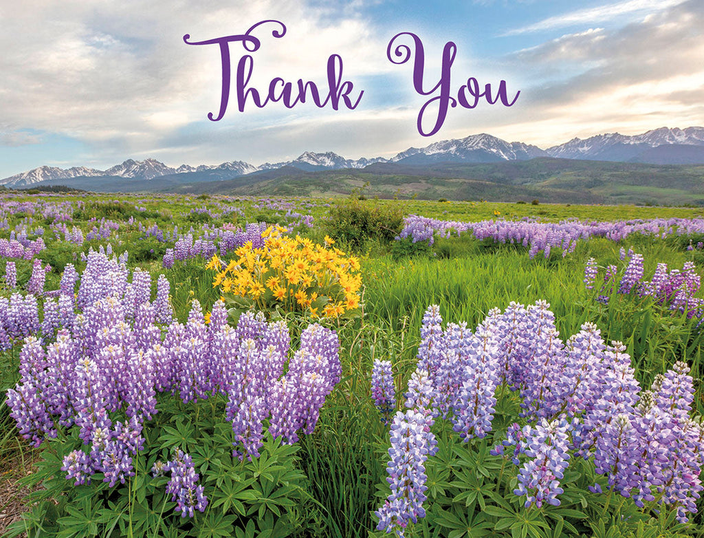 Front of a thank you greeting card featuring a vibrant mountain meadow with purple lupines and yellow wildflowers under a blue sky, with 'Thank You' scripted in elegant purple font.