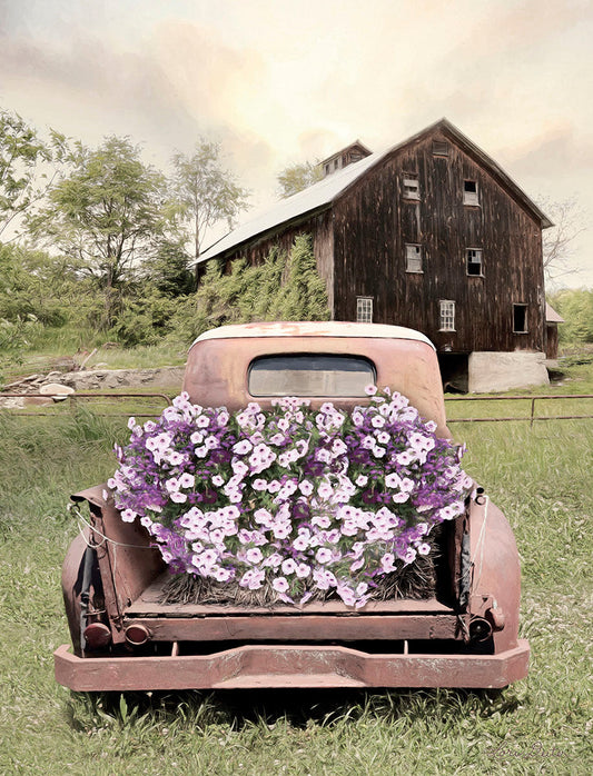 Vintage truck with a bed full of vibrant purple petunias, parked in a grassy field in front of an old wooden barn.
