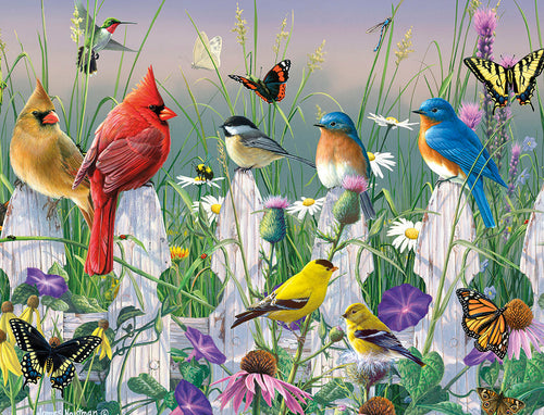 Vibrant illustration of a collection of colorful birds including red cardinals, bluebirds, yellow goldfinches, a chickadee, and a hummingbird perched on a white picket fence amidst wildflowers and butterflies in a sunny meadow. Ideal for nature-themed greeting cards and stationery.
