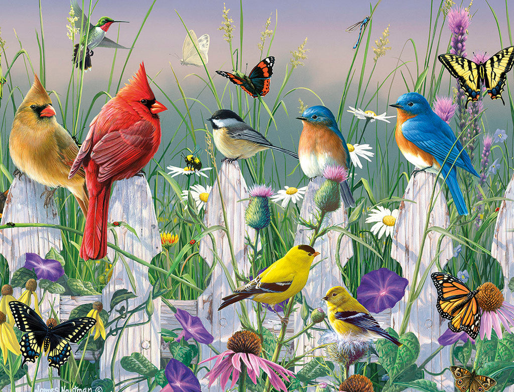 Vibrant nature-themed greeting card set featuring colorful birds (cardinals, bluebirds, chickadees, finches, hummingbird) and monarch butterflies perched on a white picket fence amidst wildflowers and tall grass, perfect for any occasion.