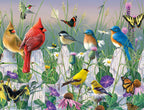 Vibrant nature-themed greeting card set featuring colorful birds (cardinals, bluebirds, chickadees, finches, hummingbird) and monarch butterflies perched on a white picket fence amidst wildflowers and tall grass, perfect for any occasion.