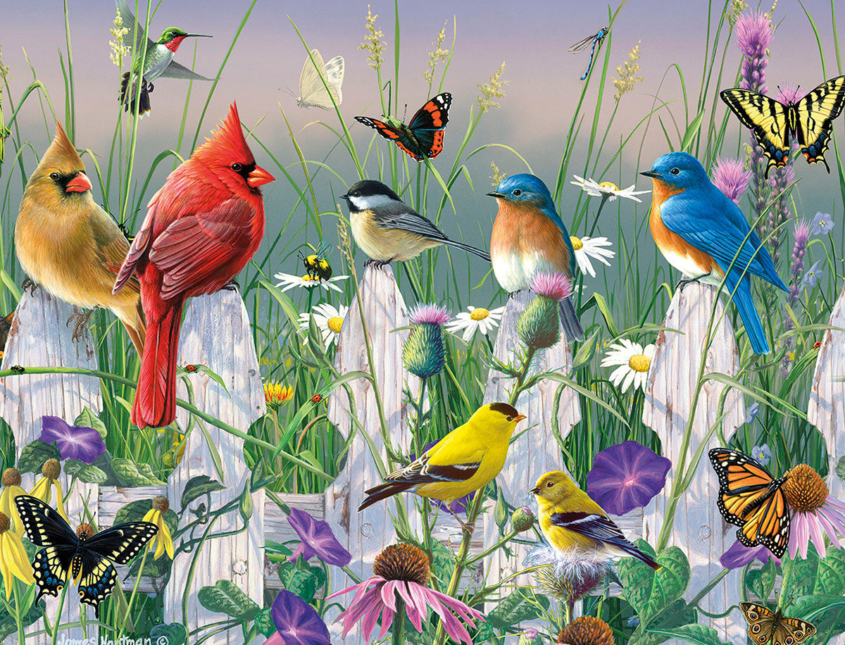 Vibrant nature-themed greeting card set featuring colorful birds (cardinals, bluebirds, chickadees, finches, hummingbird) and monarch butterflies perched on a white picket fence amidst wildflowers and tall grass, perfect for any occasion.