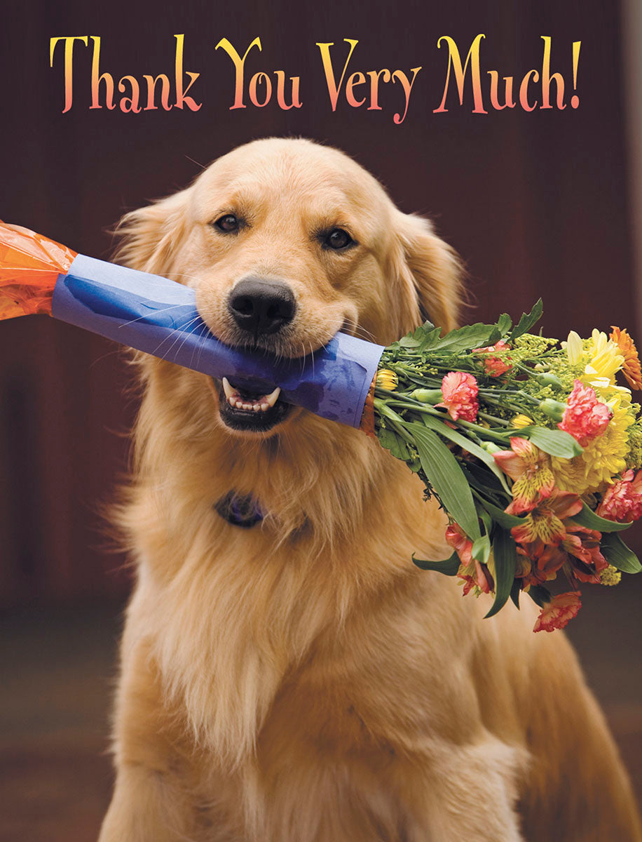 Adorable golden retriever dog holding a colorful bouquet of flowers in its mouth, conveying a heartfelt thank you message. Perfect for any occasion.