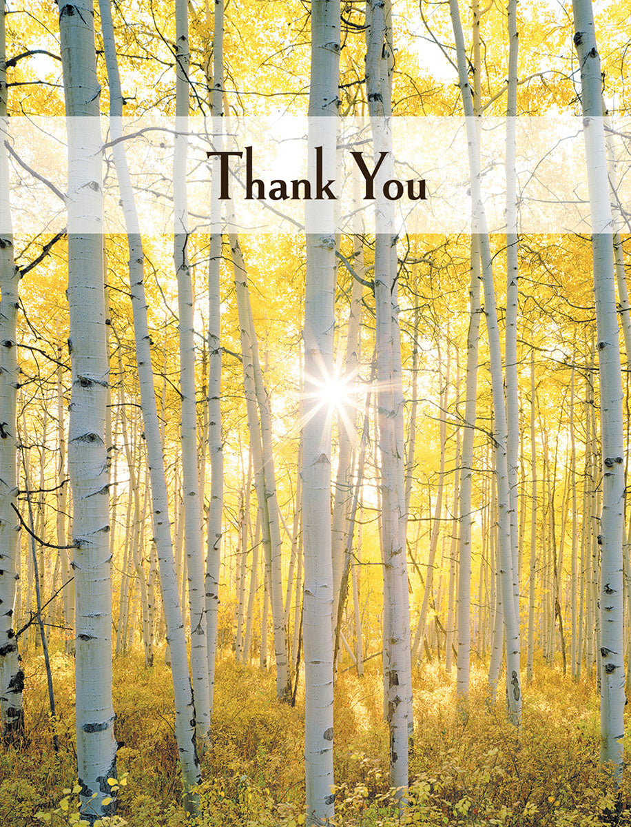 SEO-optimized alt text for 'Thank You' greeting card featuring a vibrant autumn birch forest with golden leaves and sunburst. Ideal for expressing gratitude and appreciation.