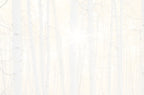 Subtle and serene alt text for the reverse side or interior design of a 'Thank You' card, showcasing a faint birch tree forest with a soft sun effect, perfect for personalization.