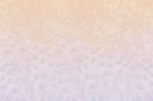 Soft pastel gradient background featuring subtle feather textures in peach and lavender hues, ideal for elegant stationery or calming designs.