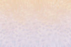 Soft pastel feather texture background, perfect for a subtle and elegant greeting card design, ready for personalized messages.