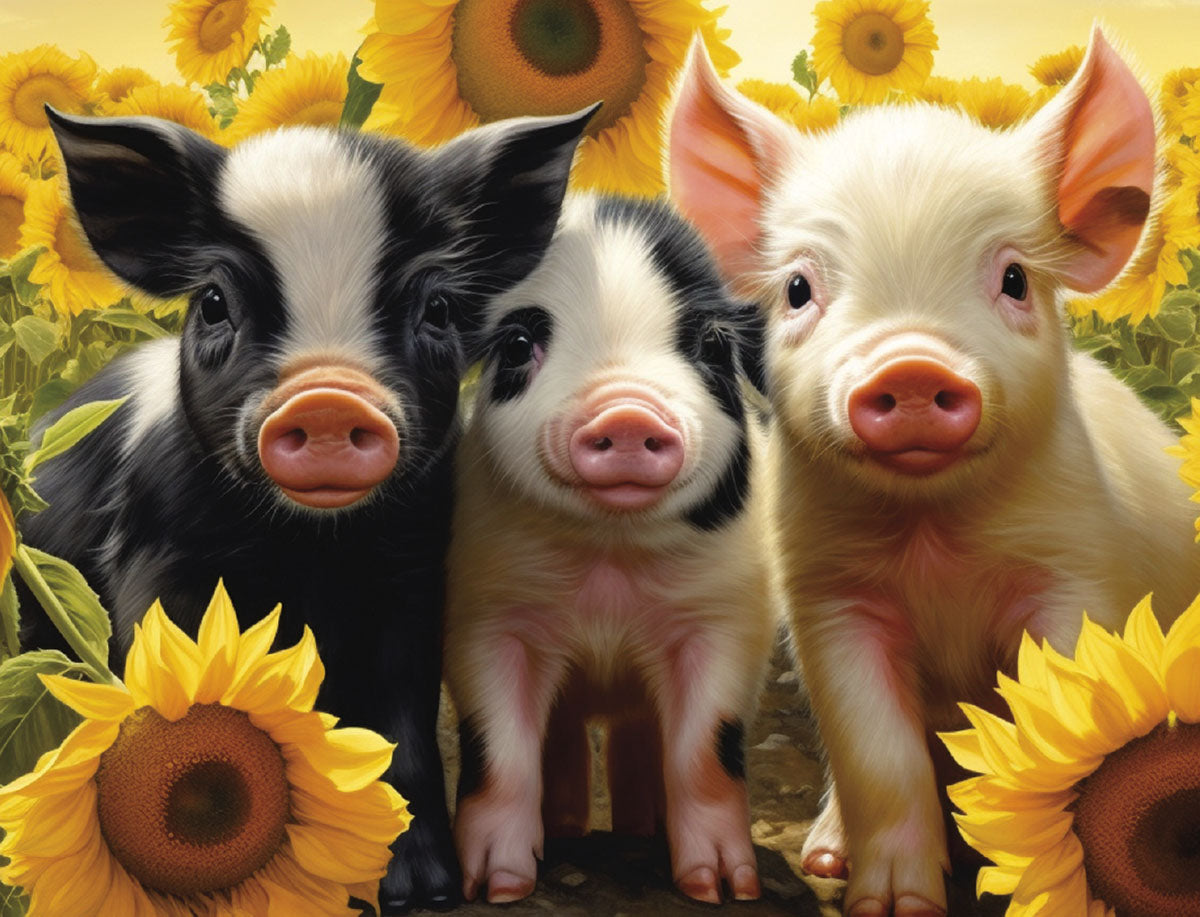 Three adorable piglets (one black, two spotted/white) in a sunlit field of vibrant yellow sunflowers, looking directly at the viewer. Ideal for a cute greeting card.