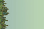 Light sage green background with a decorative vertical border on the left side, featuring a pattern of stylized green leaves with intricate golden and teal details, creating a lush jungle foliage effect.