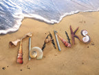 Premium greeting card set featuring 'THANKS' spelled out with natural seashells, a starfish, and beach elements on a sandy shore with gentle ocean waves. Perfect for expressing heartfelt gratitude.