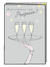 Three champagne flutes on tray Birthday Card