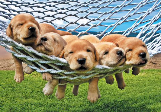 Adorable golden retriever puppies, with closed eyes and sleepy expressions, snuggled together in a white woven hammock suspended over green grass.