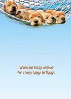 Inside a birthday greeting card, five cute golden retriever puppies are shown asleep in a hammock floating on a serene blue background, with the heartfelt message: 'Warm and fuzzy wishes for a very happy birthday.'