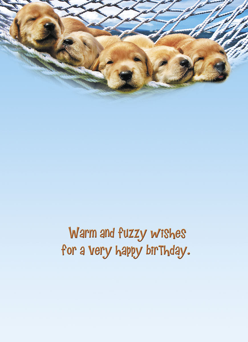 Inside of a light blue greeting card with the text "Warm and fuzzy wishes for a very happy Birthday." in brown font, and a blurred image of five golden retriever puppies in a hammock at the top, matching the card's front design.