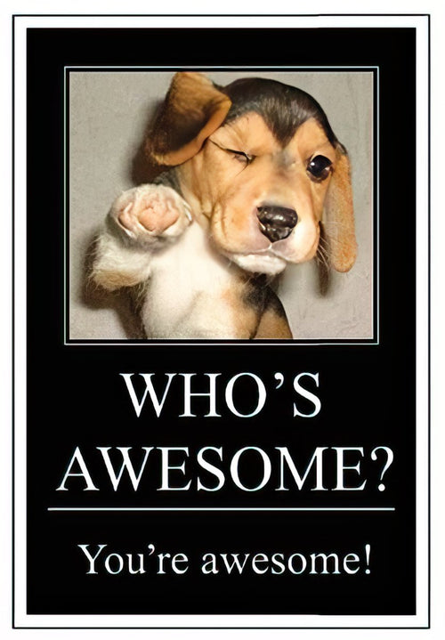 Front of a fun birthday card featuring a cute beagle puppy winking and pointing, with the encouraging message 'WHO'S AWESOME? You're awesome!'