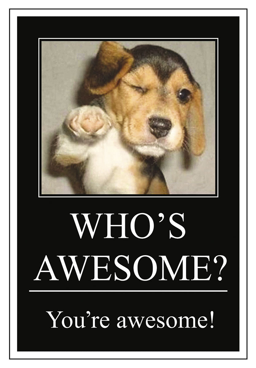 Adorable beagle puppy winks and points, with bold white text 'WHO'S AWESOME? You're awesome!' on a black background, framed by a thin white border, for a cute birthday greeting card.