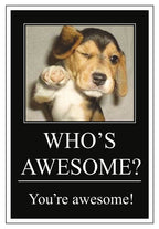 Adorable beagle puppy winks and points, with bold white text 'WHO'S AWESOME? You're awesome!' on a black background, framed by a thin white border, for a cute birthday greeting card.