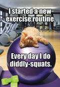 Funny ginger cat meme card featuring a cat doing 'diddly-squats' on a purple exercise ball in a gym, with green dumbbells. Perfect for a humorous celebration.