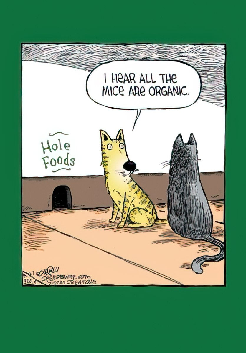 Funny cartoon greeting card featuring two cats, one startled yellow tabby and one grey cat, next to a mouse hole labeled 'Hole Foods'. A speech bubble from the grey cat says, 'I hear all the mice are organic.' The card has a green border.