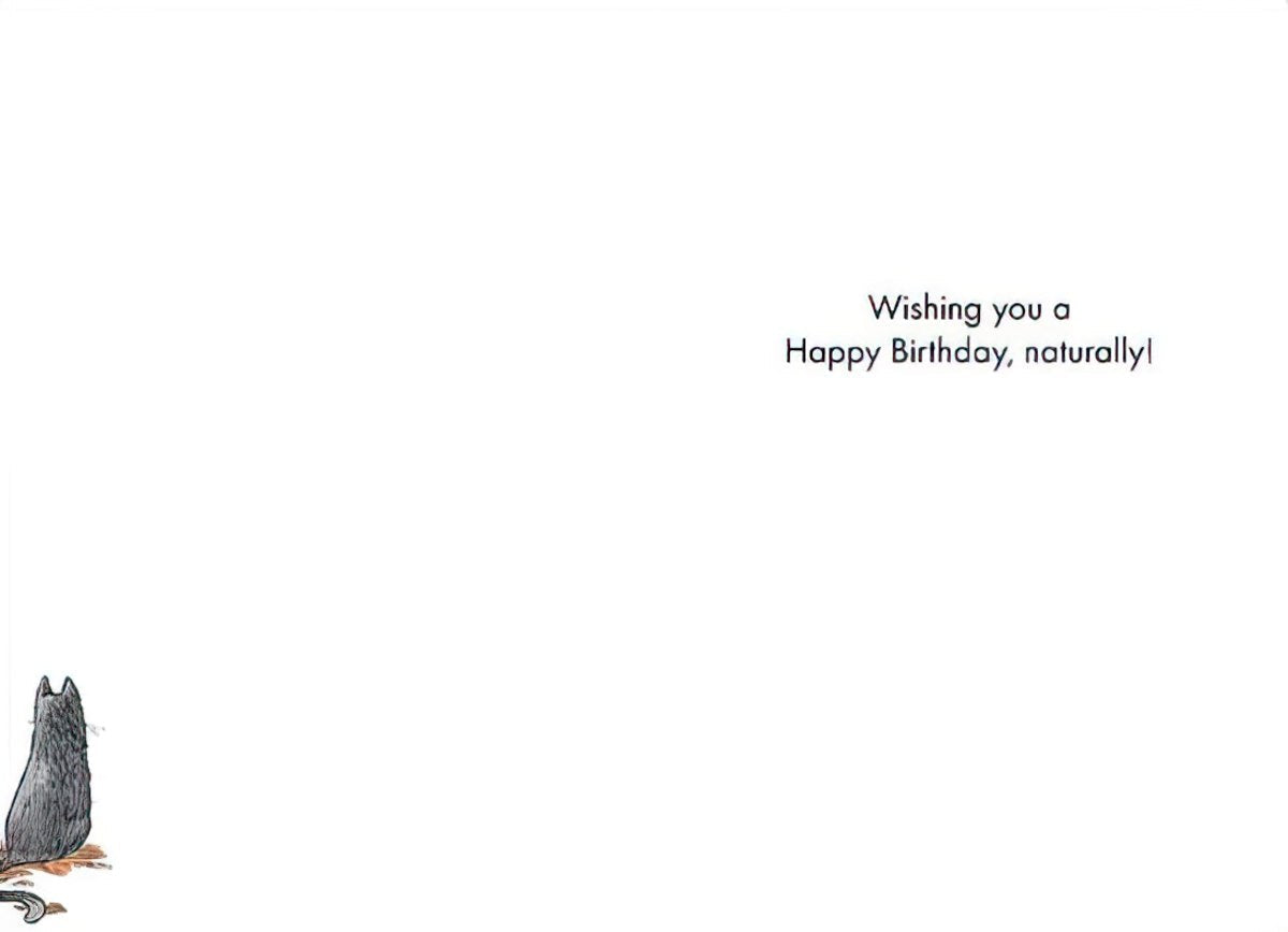 Inside of a white funny birthday greeting card with the message 'Wishing you a Happy Birthday, naturally!' printed in the center. A small portion of a grey cat's tail is visible in the bottom left corner.