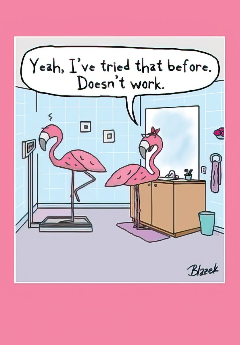 Funny birthday greeting card featuring two cartoon pink flamingos in a bathroom. One flamingo stands on a weight scale looking glum, while another flamingo with a red bow comments, 'Yeah, I've tried that before. Doesn't work.' This humorous card is perfect for friends who appreciate lighthearted jokes about aging or weight.