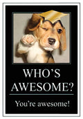 Front of an encouraging graduation greeting card featuring a cute winking beagle puppy wearing a graduation cap and pointing, with the text 'WHO'S AWESOME? You're awesome!' on a black background.