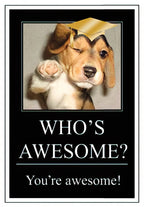 Front of an encouraging graduation greeting card featuring a cute winking beagle puppy wearing a graduation cap and pointing, with the text 'WHO'S AWESOME? You're awesome!' on a black background.
