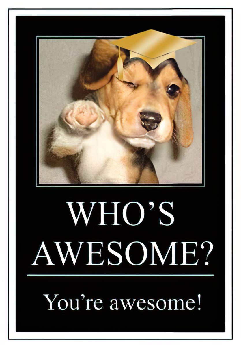 Front of an encouraging graduation greeting card featuring a cute winking beagle puppy wearing a graduation cap and pointing, with the text 'WHO'S AWESOME? You're awesome!' on a black background.