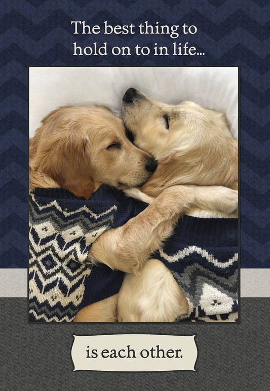 Two golden retrievers snuggled close, wearing cozy patterned sweaters, with the message 'The best thing to hold on to in life... is each other' on a dark blue background.