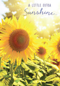 Front of an uplifting sunflower greeting card with bright yellow petals, green leaves, and sun rays, featuring the text 'A LITTLE EXTRA Sunshine...'