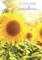 Front of an uplifting sunflower greeting card with bright yellow petals, green leaves, and sun rays, featuring the text 'A LITTLE EXTRA Sunshine...'