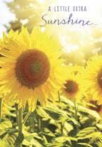 Close-up of vibrant yellow sunflowers basking in golden sunlight, featuring a bright greeting card front with text 'A LITTLE EXTRA Sunshine...'. Perfect for sending a cheerful, uplifting message of support.