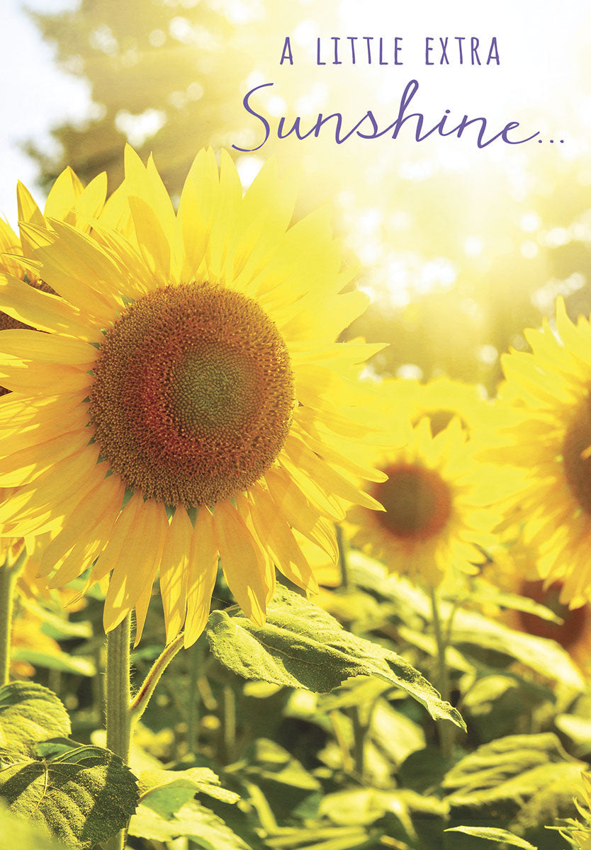 Close-up of vibrant yellow sunflowers basking in golden sunlight, featuring a bright greeting card front with text 'A LITTLE EXTRA Sunshine...'. Perfect for sending a cheerful, uplifting message of support.