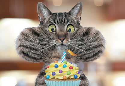 Funny tabby cat with puffed cheeks and wide eyes looking at a colorful cupcake with a lit birthday candle, front of card.