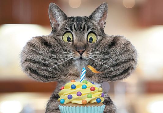 Funny tabby cat with puffed cheeks and wide eyes looking at a colorful cupcake with a lit birthday candle, front of card.