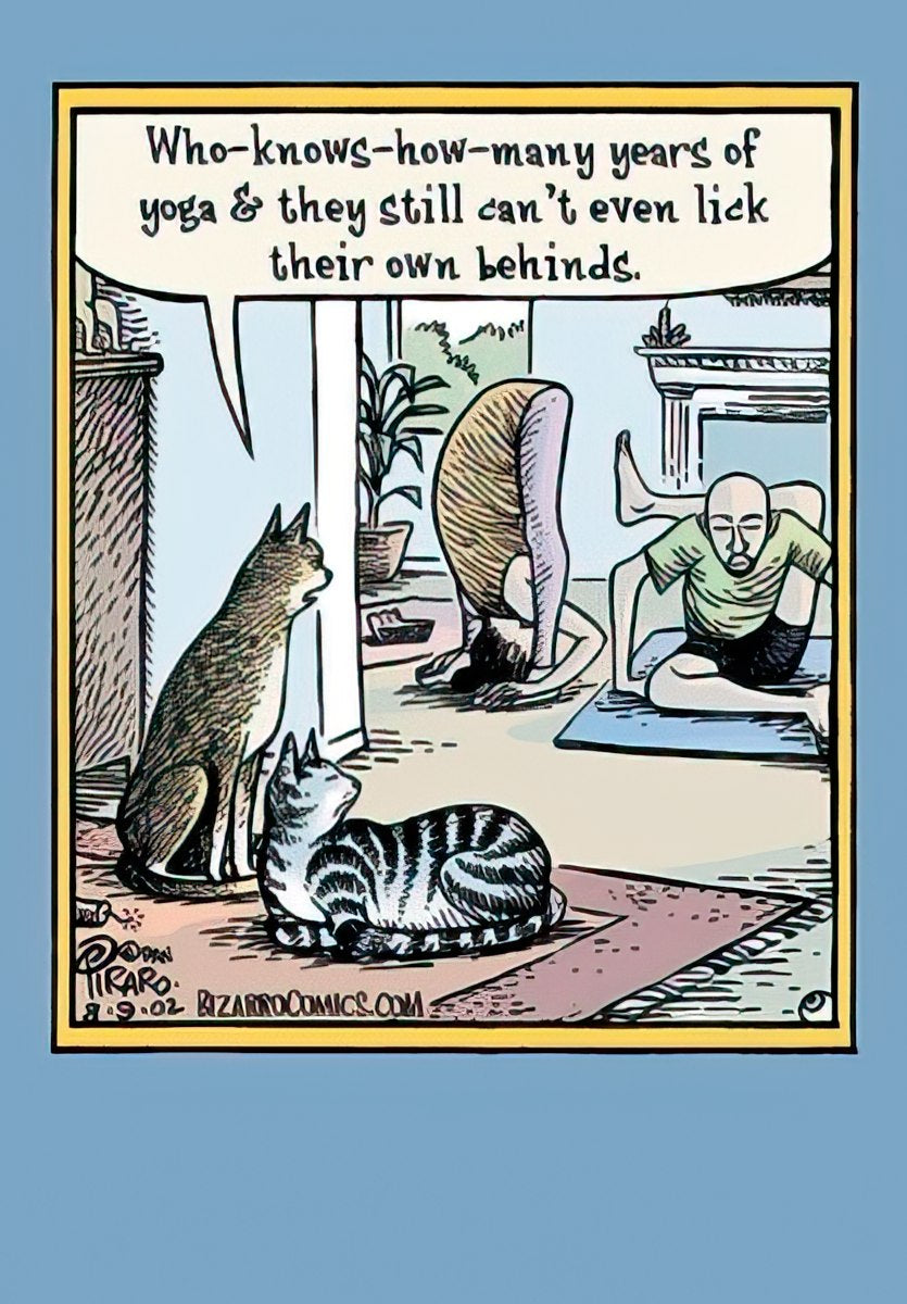 Funny greeting card cover featuring two curious cats humorously observing two people in awkward yoga poses, with a speech bubble about humans not being able to lick their own behinds. Ideal for cat lovers and yoga enthusiasts.