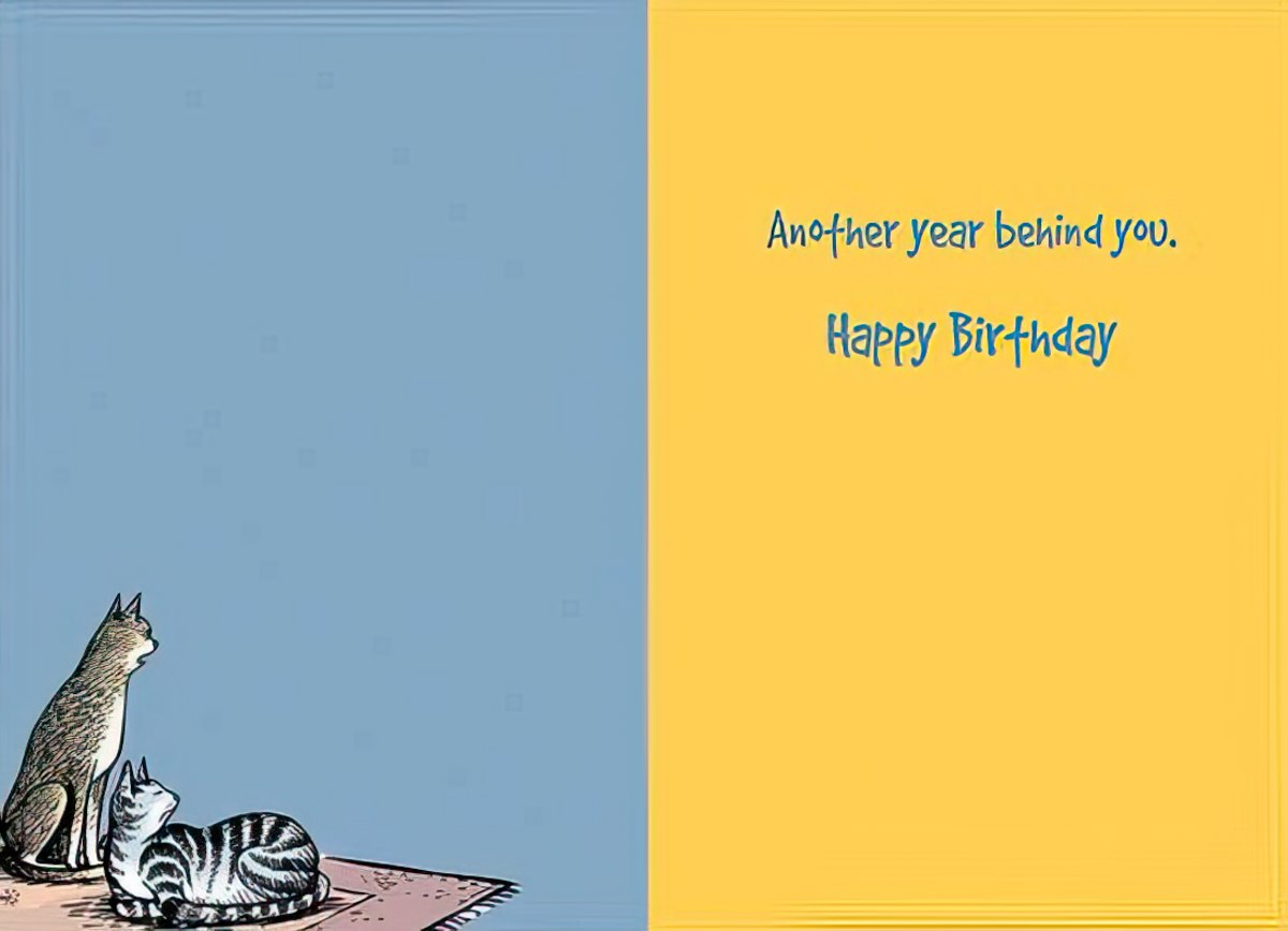 Inside view of a humorous greeting card with a calming blue left panel featuring the same cats, and a vibrant yellow right panel displaying the message 'Another year behind you. Happy Birthday' in stylish blue script.