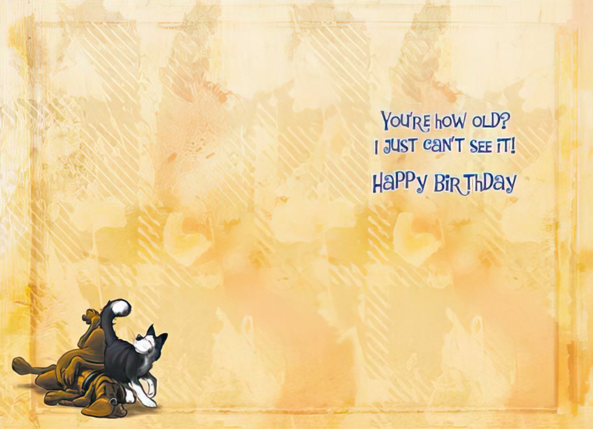 Inside view of a funny birthday card, showing a cartoon dog and cat, with the humorous text 'You're how old? I just can't see it! Happy Birthday' on a textured background.