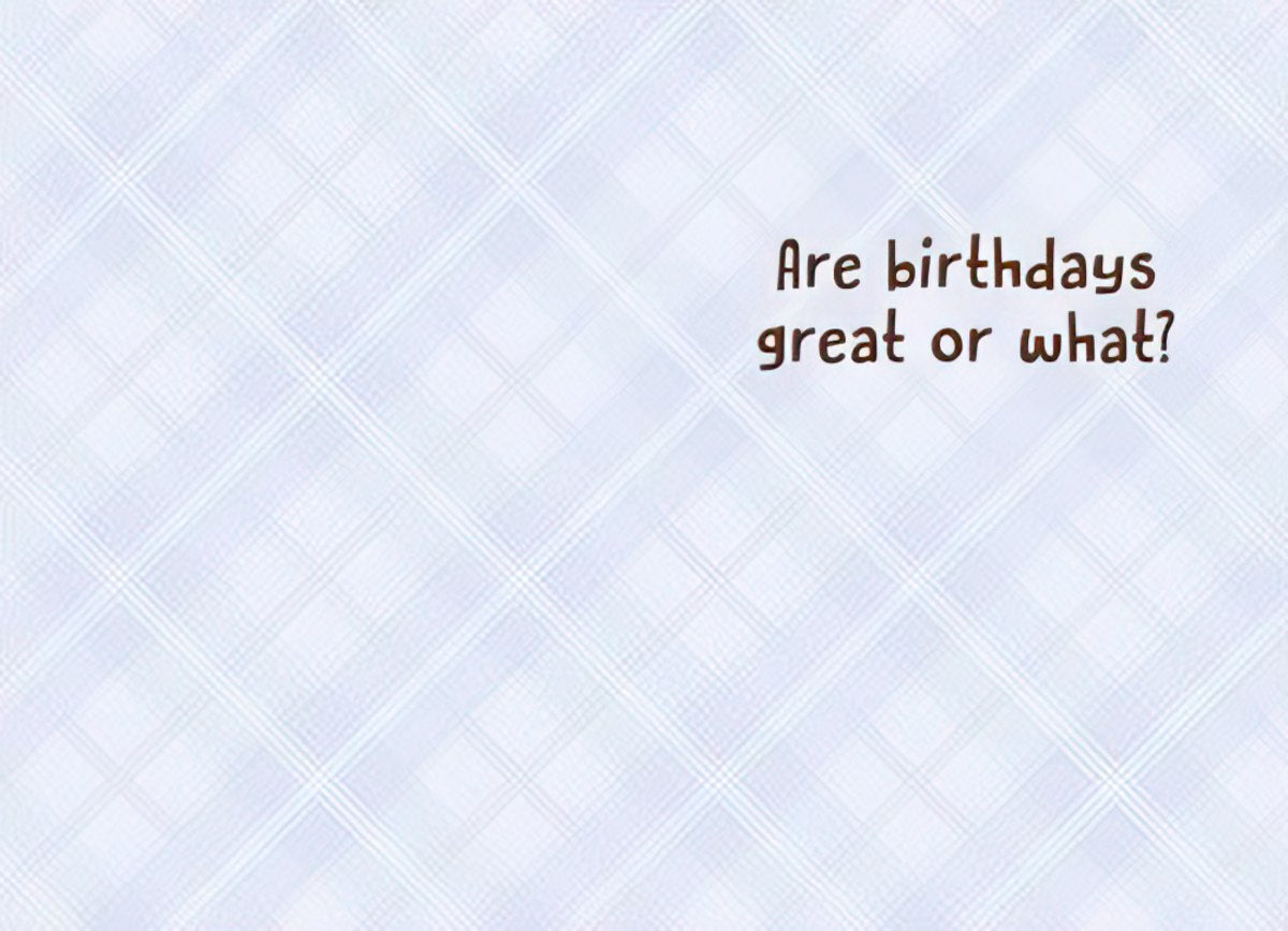 Inside of a white birthday greeting card featuring light blue checkered pattern and black text that reads 'Are birthdays great or what?'