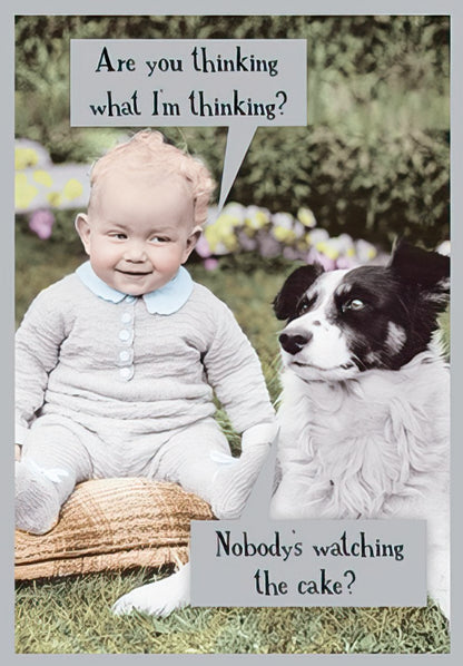 Funny birthday card showing a baby and dog plotting to eat cake, with text: "Are you thinking what I'm thinking? Nobody's watching the cake?"