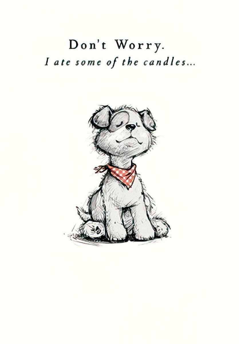 Front of a funny birthday card featuring a cute illustrated dog with a red bandana, text reads 'Don't Worry. I ate some of the candles...'