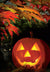 Jack o' lantern with black cat & Fall Leaves Halloween Card