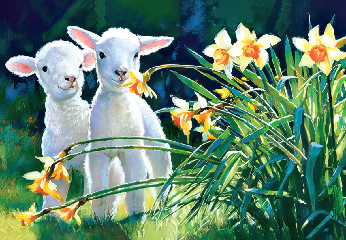 Lambs Beside Daffodils Easter Card